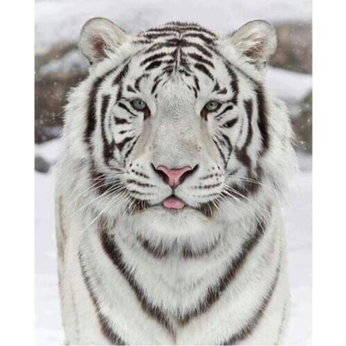 Full Square 5D DIY "White Tiger" Embroidery Cross Stitch Rhinestone Mosaic Diamond Painting Home Decoration Gift FH861