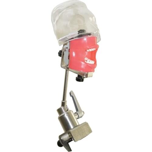 Dental Tools Nissin Dental Tooth Model with Phantom Head for Dental Bench