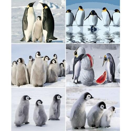 AZQSD Painting By Number Canvas Kits Animal Unique Gift DIY 40x50cm Coloring By Numbers Penguin Home Living Room Art Craft