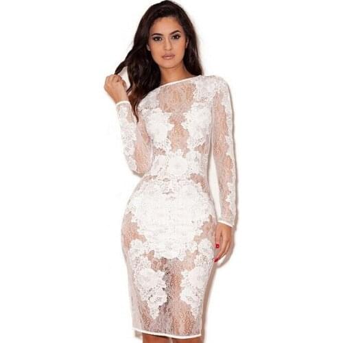Dream Vine Elegant Floral Embroidered See Through Lace Dress Vestido De Renda Round Neck Long Sleeve Autumn Tunic Bandage Dress