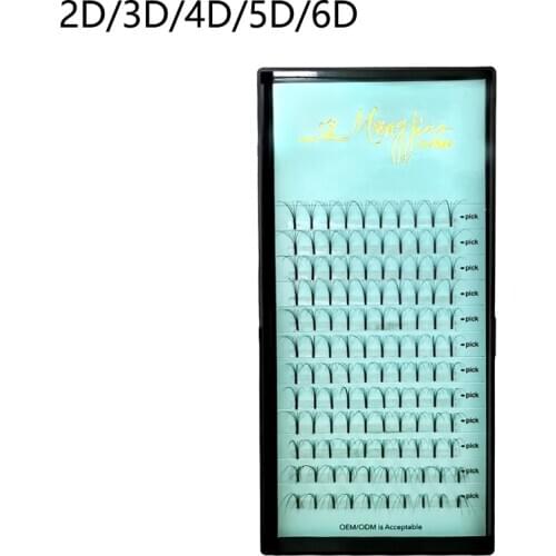 2D/3D/4D/5D/6D Premade Fans Eyelash Extension Volume Eyelash Russian lashes Easy fans eyelashes false OEM Wholesale W YY lashes