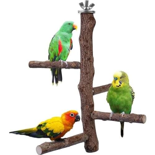Birds Natural Wood Stand Parakeet Toys Parrot Standing Claw Stick Birds Cage Accessories Parrots Platform Hanging Supplies 1set
