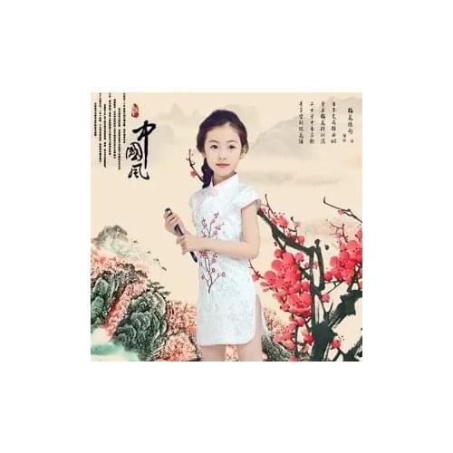 Summer Chinese style childrens cheongsam Tang girls' dress embroidered princess skirt