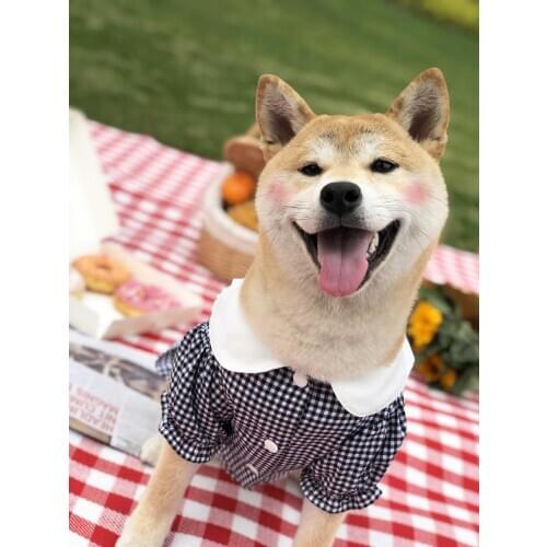 Fashion Plaid Shirt For Pet Dog New Clothing For Dogs Cat Summer Clothes Akita Schauzer Shirt Puppy Clothes Clothing For Pet