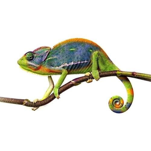 13cm x 6.7cm for Green Chameleon Car Stickers Vinyl Decoration Waterproof Personality Window Trunk Decal for VAN SUV