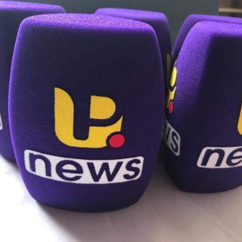 Linhuipad printing logo triangle purple Interview microphone Windscreen Handheld windshield Inside Diameter: 4 CM (about .1.57")