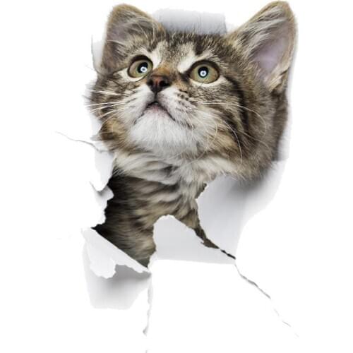 Various Cute Kitten Animal Cartoon Cat Wall Sticker 3D Vivid Baby Kid Room Bathroom Decors Peel & Stick Toilet Sticker