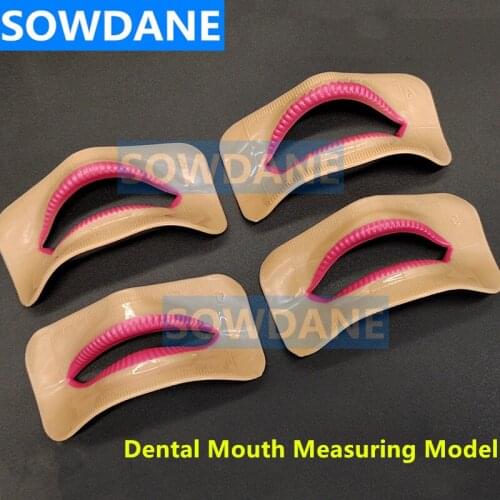 4 pcs Dental Lab Denture Laboratory Mouth Measuring Lip Measurement Tool Lip Moldel Aesthetics Parts 4 pcs Different Shape