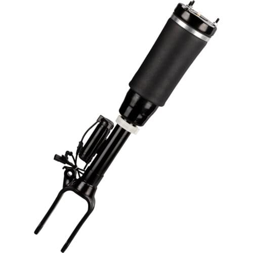 Front Air Suspension Strut For Mercedes W251 R320 R350 R500 R550 R63 AMG 2513203013 2513203113 A2513203013 SHock Absorber Spring