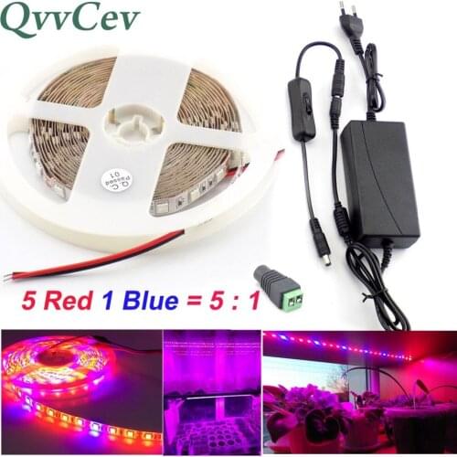 Qvvcev Led Grow Strip Light 12V 2A/3A 1M 2M 3M 5M 5 Red 1 Blue Waterproof plants Lamp for greenhouse Hydroponics+Adapter+Switch