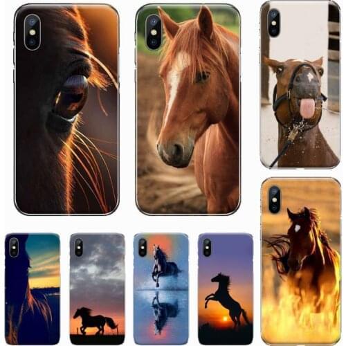Frederik The Great beauty horse Phone Case For iphone 12 5 5s 5c se 6 6s 7 8 plus x xs xr 11 pro max mini