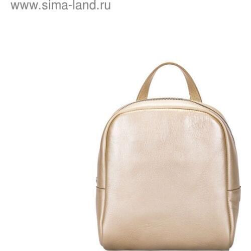ASKENT Women's Gold Backpacks China