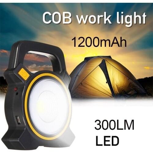 Horleora LED Floodlights