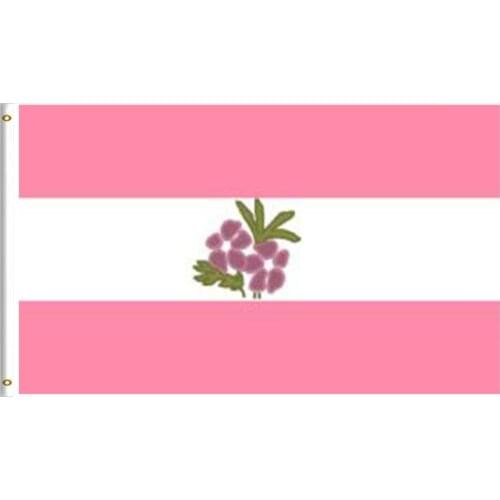 Sapphic Pride Flag 3x5FT 90x150cm 100D Polyester With Two Brass Grommets Outdoor or Indoor Banner