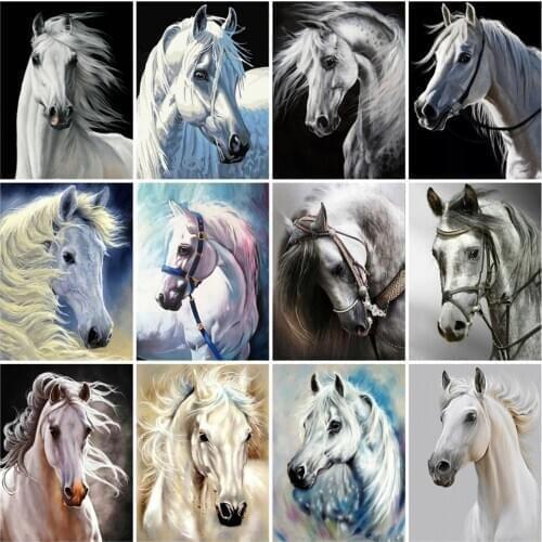 HUACAN Oil Painting By Numbers White Horse Handpainted Unique Gift Pictures By Numbers Animals For Adults Home Decoration