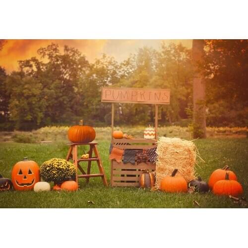 VinylBDS Holloween Photography Backdrop Children Photo Background Photography Backdrop Pumpkin Trees Baby Photography Backdrops