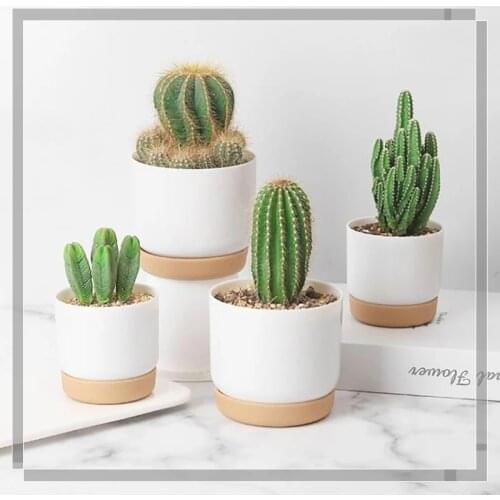 Imitation Ceramic Plastic Plant Pot Automatic Absorption Storage Water Round Double-Layer Green Dill Small Green Plant Flowerpot