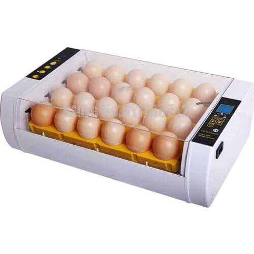 Mini Automatic Hatching Machine For Birds, Eggs, Chickens And Ducks