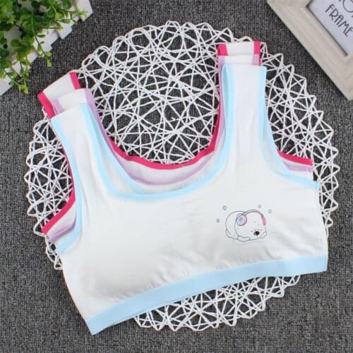 Puberty Girls Summer Letter Print Seamless Training Bra Teenage Soft Cotton Underwear for Junior Senior High School Student