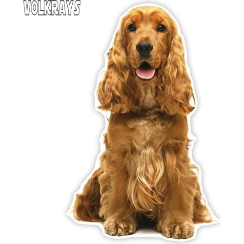 Volkrays Colorful Car Sticker Cute Cocker Spaniel Funny Stickers Styling Waterproof Sunscreen Decal Vinyl,17cm*11cm