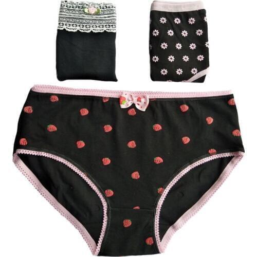 3 Pcs Underwear Women Panties Lace Cotton Briefs Sexy Panties Womens Calcinhas Thong Tanga Lingeries G-string Panty Ladies G