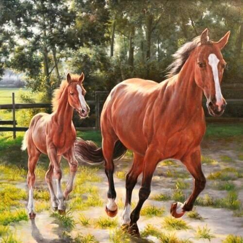 Diamond Painting Horse 5d Diy Mosaic Full Square Round Diamond Diamond Rhinestone Embroidery Picture For Sale Home Decoration