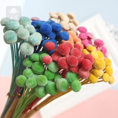 20pcs High Quality Dried Flower Button Chrysanthemum Gift Material Photo Props Wedding Flower Arrangement Luxury Home Decoration