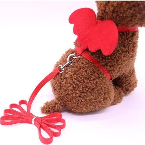 Creative Angel Pet Dog Leashes and Collars Set Puppy Leads for Dogs Cats Designer Adjustable Wing Dog Harness Pet Accessories