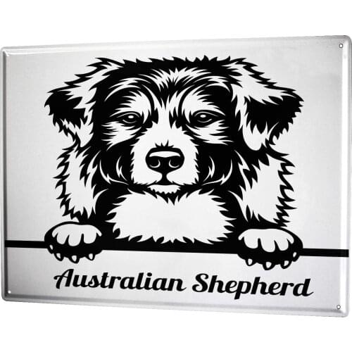 SINCE 2004 Tin Plate Dogs Breed Australian Shepherd Dog
