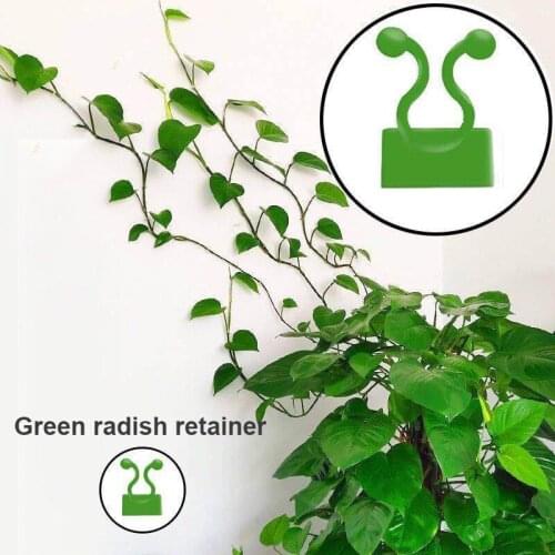 Plant climbing wall Self-Adhesive Fastener Tied fixture Vine Buckle Hook Garden plant wall climbing Vine Clips Fixed Buckle Hook