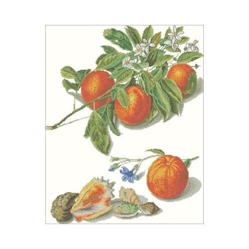 28-TG-3061 Fruit-Orange Needlework,For Embroidery,DIY 14CT Unprinted Arts Cross stitch kits Set Cross-Stitching Home Decor