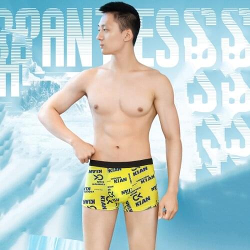8 Pcs/Lot New Noble Men Boxer Briefs Ice Silk Soft And Comfortable Breathable Printing Trend Sexy Mens Underwear