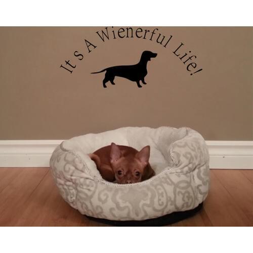 Creative Wiener Dachshund Dog decorative , Dachshund Wall Sticker Art Decals