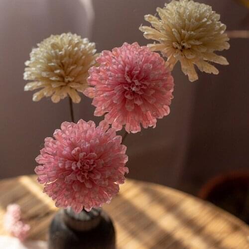 2Pcs Plant Nutshell Handmade Dried Flowers Modern Glamour Home Decoration Artificial Flowers Farmhouse Decor Photography Props