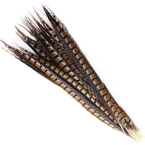Lady Amherst Pheasant Feathers for Crafts 50-55cm 20-22inch Natural Pheasant Feathers for Decoration Carnival Accessories