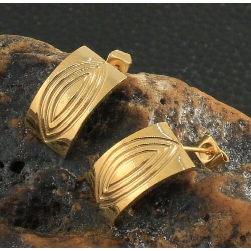 Fashion Stainless Steel Jewelry Stud Earrings For Woman & Girl Party Gift Free Shipping Joyas Store ERYZ066