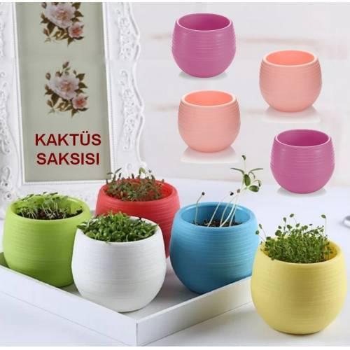 20 pcs Mini Sugar Flower Potted Cactus Pot Colorful Flower Pot Decorative Cactus Flower Pot Gardening Flower Pot