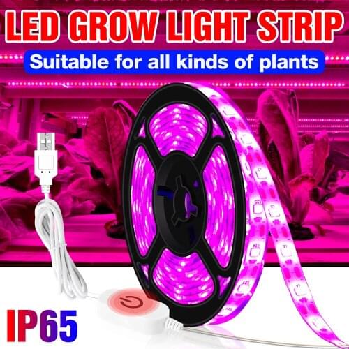 CanLing LED Bulbs E27 China