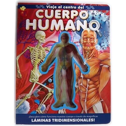 PVC Window Film Book Body StructureBook Cognitive Reading Anatomy Science Study Children Comic Early Education Books Kids Toys