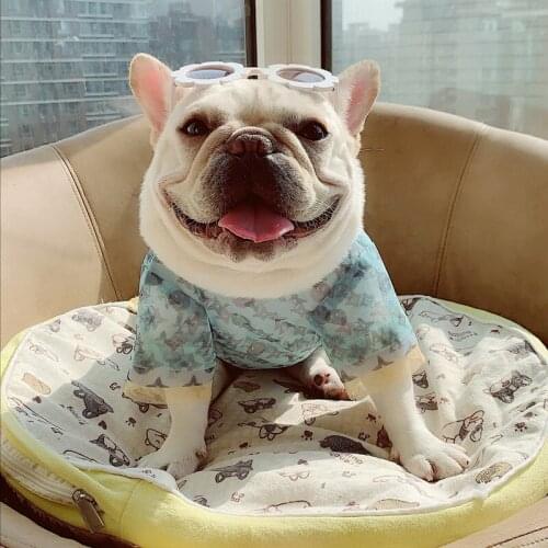 Pet tide brand multi-layer mesh breathable macarons organza short sleeve method fighting Bichon Schnauzer summer clothes