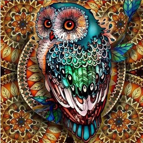 Painting By Numbers DIY Dropshipping 40x50 50x65cm Colorful feather cute owl Animal Canvas Wedding Decoration Art picture Gift