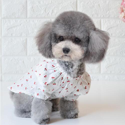 Cherry Print Pet Dog Summer Clothes for Small Dogs Clothing Chihuahua Summer Cotton Dress Yorkshire Cool Shirt Ropa Perro S-2XL