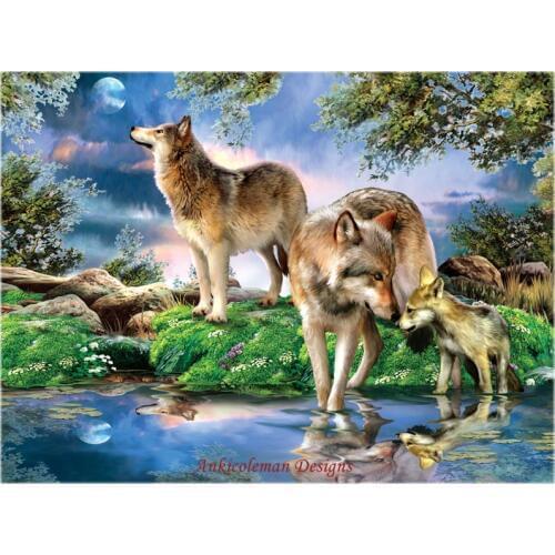 Needlework for embroidery DIY DMC High Quality - Counted Cross Stitch Kits 14 ct Oil painting - New Moon