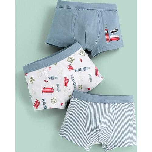 LICHTBABY Underwear For Boys