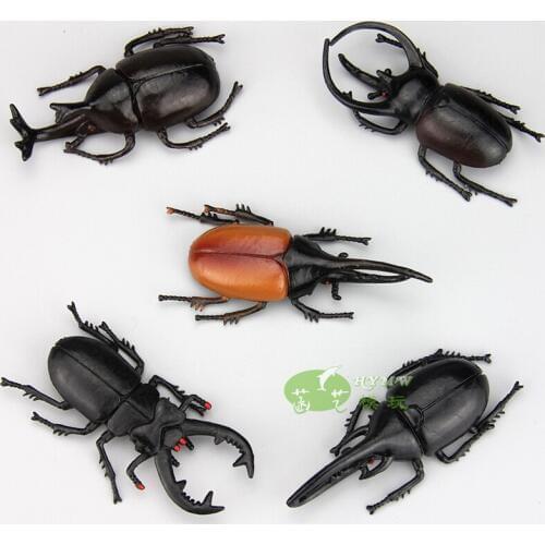 Home Crafts PVC Plastic Simulation Mini Insect Beetle Longhorn Props Model Play Projects 5pcs/lot