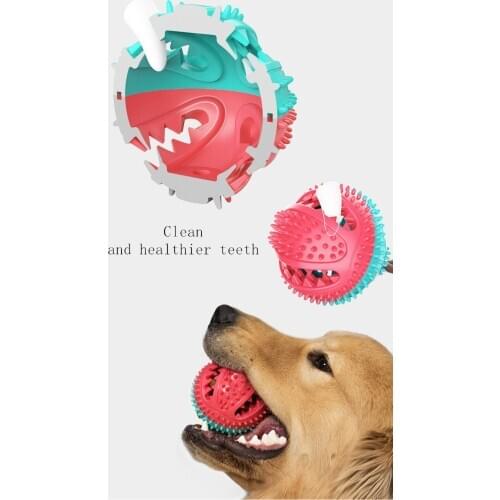 Knotted Toy Dog Suction Cup Toy Small Dog Molar Teeth Relief Bite Resistant Teeth Cleaning Tug of War Pet Pull Combination Bite