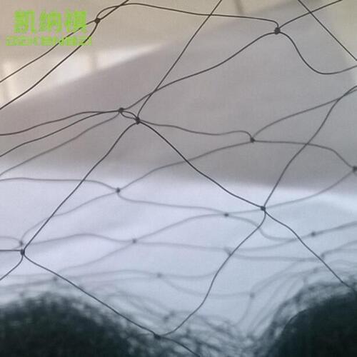 2 pcs/Lot Anti-wind 3.6 x 12 M Nylon monofilament 0.11mm 15mm Hole Orchard Garden Anti Bird Net Knotted Mist Net 6 PCS Pockets