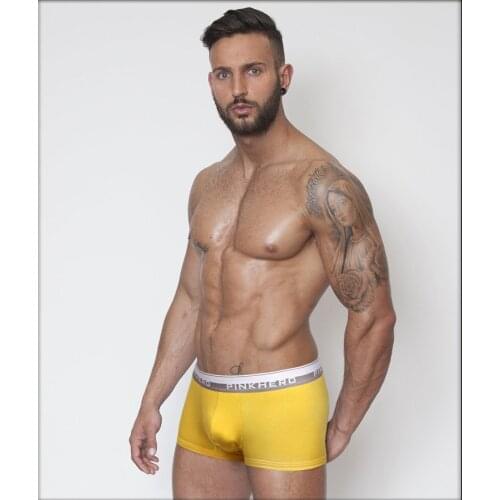 2016 New Cozy Men Micro Modal Trunk mens boxer short high quality stretched modal mens underwear intimate undergarment