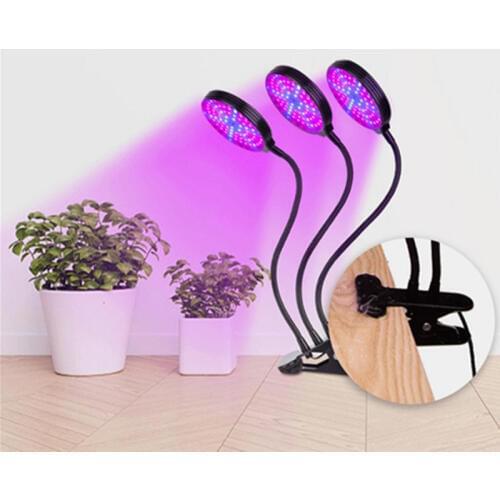 Dishun Plant Lamps