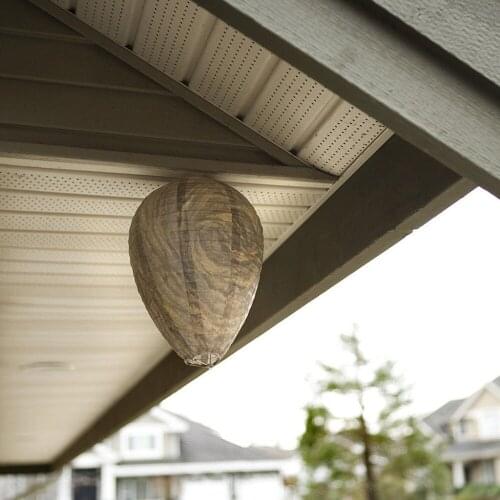 Wasp Lantern Nest Decoy Fake Beehive Hanging Repellent Natural Insect Trap Accessory